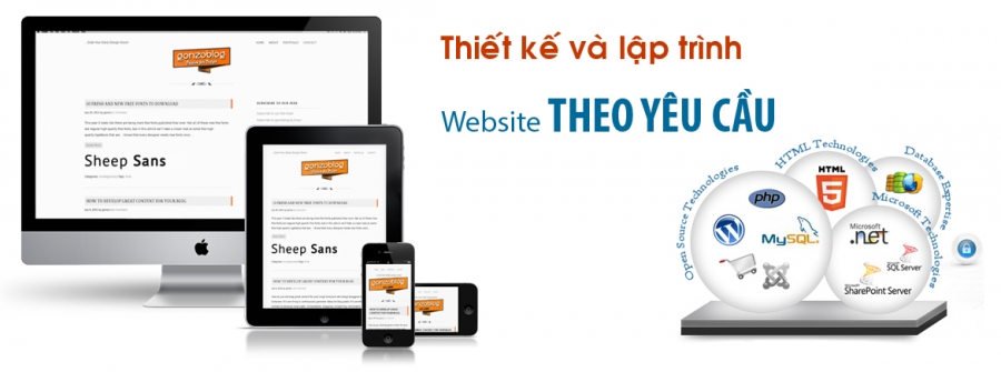 CÔNG TY THIẾT KẾ WEBSITE CHUYÊN NGHIỆP CHUẨN SEO TẠI TP HCM
